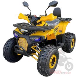Квадроцикл R-moto Lion 125 AR
