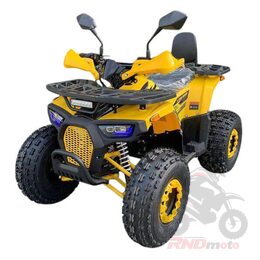 Квадроцикл R-moto Lion 125 AR